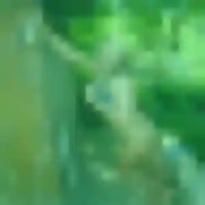 Maud, 33 ans, connectée à Ablon-sur-Seine pour un rencontre cougar