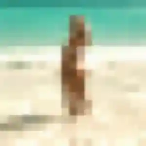 Photo de Jacqueline à Annet-sur-Marne (19 ans) - rencontre cougar anonyme