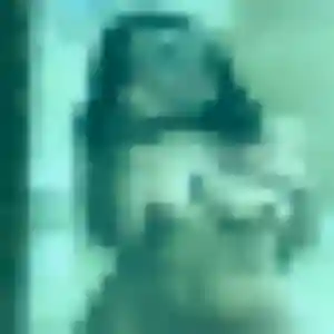 Photo de Cyrielle à Armentières (25 ans) - rencontre cougar anonyme