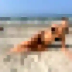 Sexy Josephine, 38 ans à Arnouville - découvrir son profil