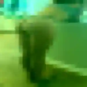 Jolie Alessandra, 39 ans à Auvers-sur-Oise - la contacter