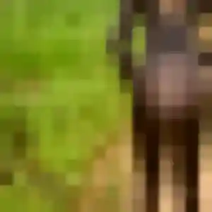 Photo privée de Irina, 35 ans à Corbeil-Essonnes - plan discret