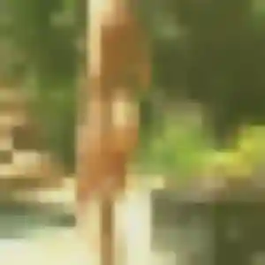 rencontre cougar à Courbevoie : photo de Sara, 38 ans - accès libre