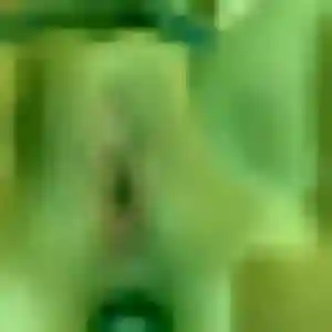 Profil de Lucie à Épinay-sous-Sénart (25 ans) - rencontre cougar gratuit
