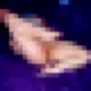 rencontre cougar à Flers-en-Escrebieux : photo de Wilhelmine, 30 ans - accès libre