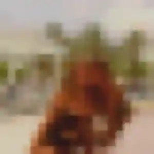 Profil de Ninon à Frépillon (33 ans) - rencontre cougar gratuit