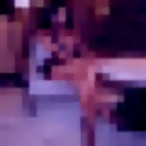 Photo de Ameline à Gagny (19 ans) - rencontre cougar sans inscription