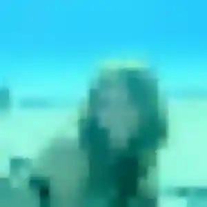 Profil de Eva à Haubourdin (36 ans) - rencontre cougar discret