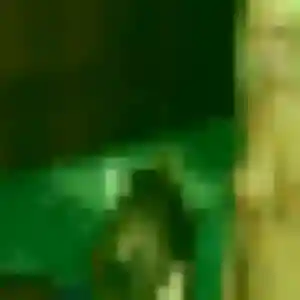 Tania, 34 ans, veut un rencontre cougar à Lapugnoy