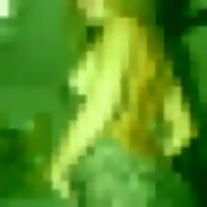 Romina (28 ans) à Le Bourget propose un rencontre cougar rapidement