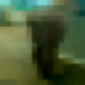 Myriam, 22 ans, en ligne à Le Chesnay-Rocquencourt pour un rencontre cougar