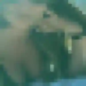 Photo de Amandine à Lieusaint (43 ans) - rencontre cougar sans inscription