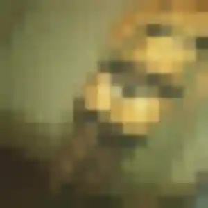 Photo exclusive de Josiane, 34 ans à Lisses - rencontre coquine