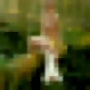 Lena, femme de 31 ans cherche rencontre cougar à Lourches