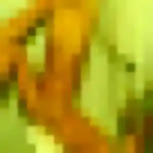 Photo privée de Fleur, 44 ans à Marquise - plan discret
