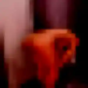 Jolie Ketty, 41 ans à Massy - découvrir son profil