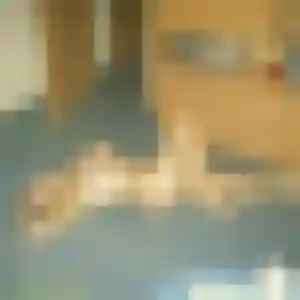 Photo de Rym à Méry-sur-Oise (38 ans) - rencontre cougar discret