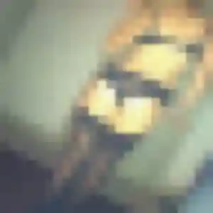 Rejoins Colombine, 29 ans à Nœux-les-Mines en t'inscrivant