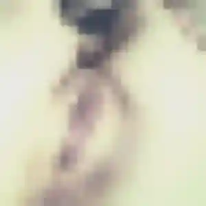Claire, 41 ans, en ligne à Pommeuse pour une rencontre coquine