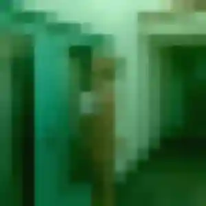 Photo privée de Clemence, 35 ans à Pomponne - rencontre sans lendemain