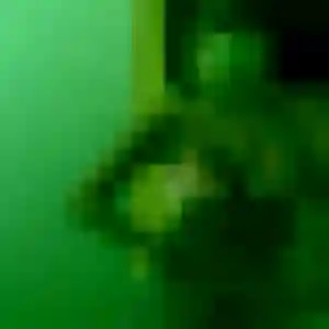 Solange, fille de 27 ans cherche rencontre cougar à Ronchin