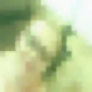 Contacte Theresa, 44 ans à Roubaix gratuitement