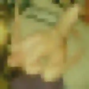 Samantha, 35 ans, disponible à Saint-Soupplets pour une rencontre coquine