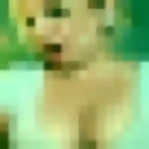 Ghislaine, 36 ans, connectée à Sainte-Catherine pour une rencontre coquine