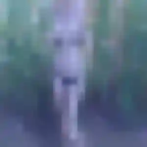 Touria de Tigery, 34 ans - rencontre cougar sans lendemain