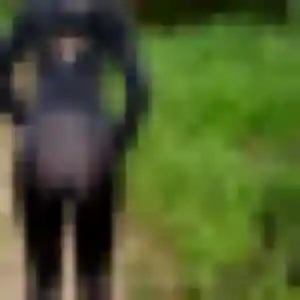 Monique, 40 ans, connectée à Villecresnes pour un rencontre cougar