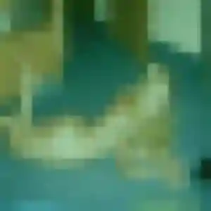 Myriam de Wambrechies, 32 ans - rencontre cougar sans lendemain