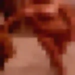 Photo de Jennifer à Wimille (43 ans) - rencontre cougar sans inscription