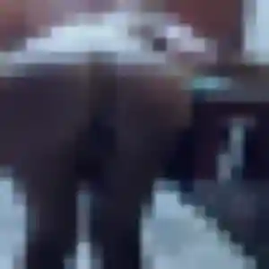 Photo de Sylvie à Wissous (38 ans) - rencontre cougar discret